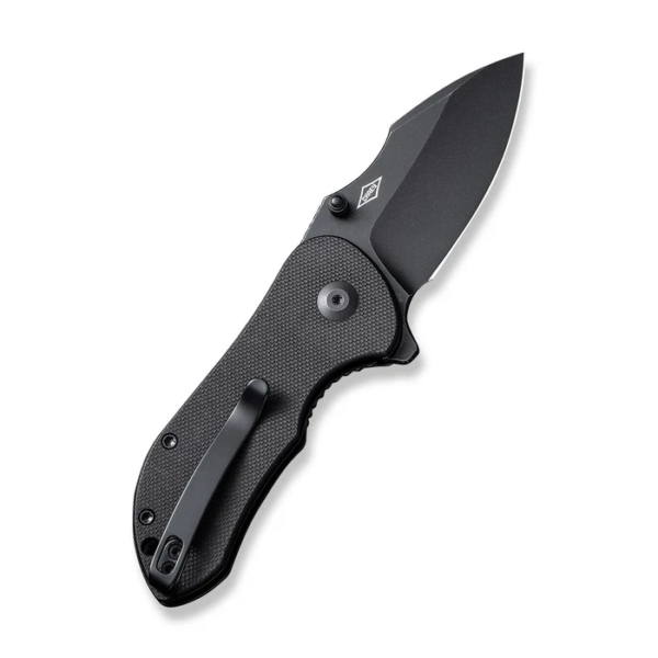 CIVIVI Gordo Flipper Knife G10 Handle (2.51"" D2 Blade) C22018C-1