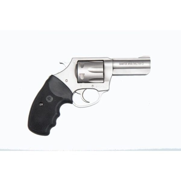 Charter Arms Pit Bull Handgun .380 ACP 6rd Capacity 3" Barrel Stainless Steel