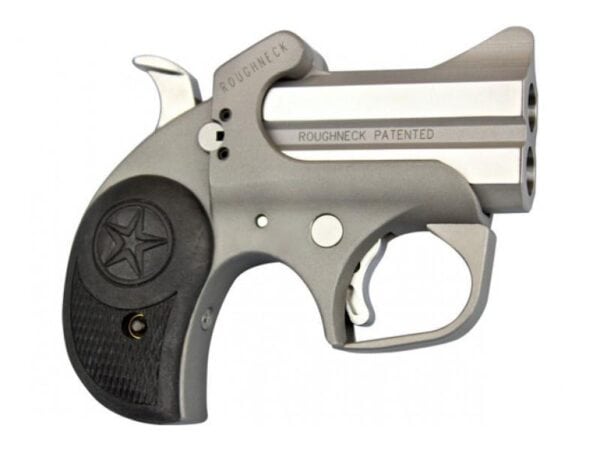 Bond Arms Roughneck Derringer 9mm Luger 2rd Capacity 2.5" Barrel