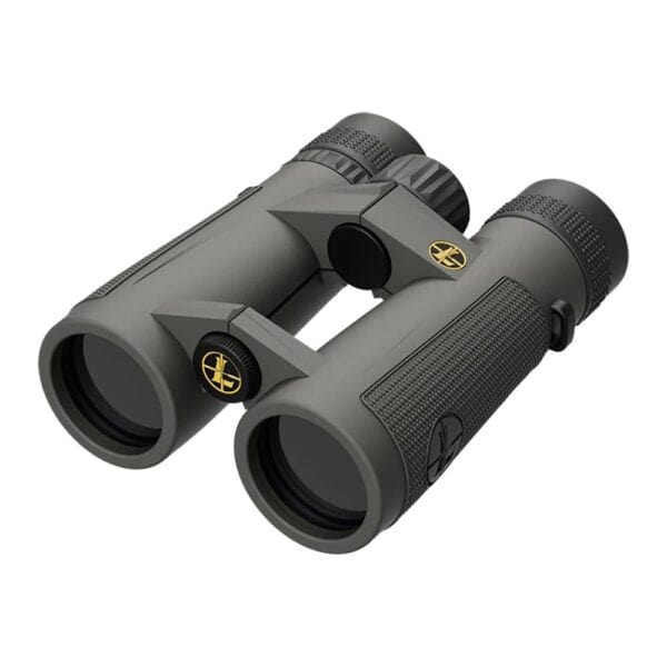 Leupold BX-5 Santiam HD 10x42mm Binoculars Shadow Gray