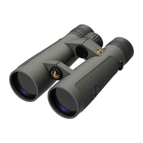 Leupold BX-5 Santiam HD 10x50mm Binocular Shadow Gray