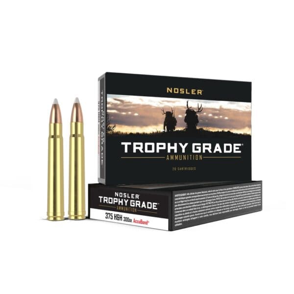 Nosler Trophy Grade Rifle Ammunition .375 H&H 300 gr AB 2400 fps - 20/box