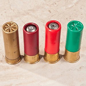 Shotgun Shells